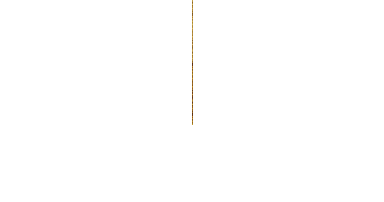 四六八ちゃの料理